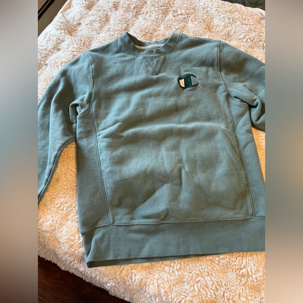Champion Men's Crewneck Sweatshirt in Sage Green
